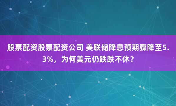 股票配资股票配资公司 美联储降息预期骤降至5.3%，为何美元仍跌跌不休？